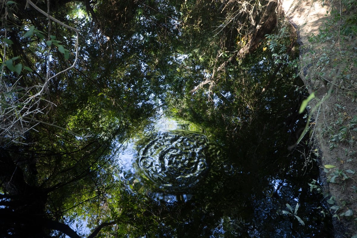 Registro fotográfico